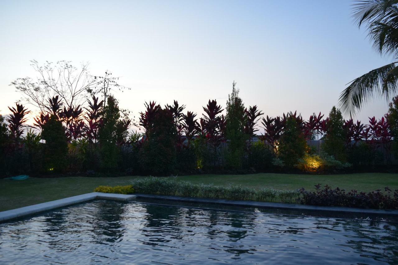 Villa Putih Lovina Exterior foto